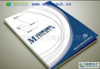 專業(yè)平面設(shè)計(jì)服務(wù)覆蓋廣州荔灣、白云、增城、南沙，助力企業(yè)畫冊(cè)設(shè)計(jì)